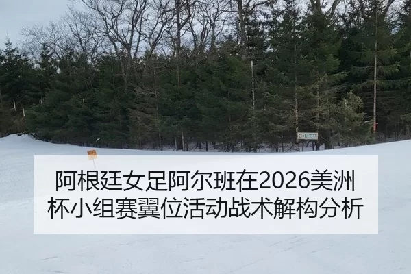 a-gen-ting-nv-zu-a-er-ban-zai-mei-zhou-bei-xiao-zu-sai-yi-wei-huo-dong-zhan-shu-jie-gou-fen-xi-2-366.jpg