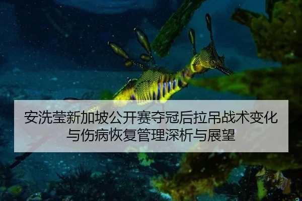 安洗莹新加坡公开赛夺冠后拉吊战术变化与伤病恢复管理深析与展望